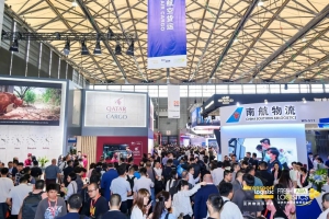 讓叉車更聰明，讓搬運(yùn)更簡(jiǎn)單|2024亞洲物流雙年展圓滿收官！