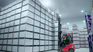 林德電動平衡重叉車助力果蔬產(chǎn)品快速周轉(zhuǎn)，新鮮送達