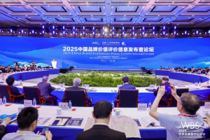 115.20億元！安徽叉車集團(tuán)品牌價(jià)值再突破！