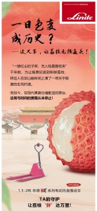 一日色變成歷史？這叉車，讓荔枝無損通關！