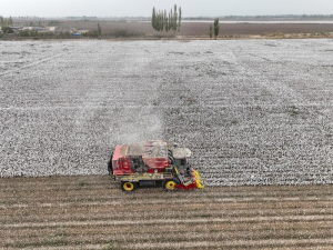 中國新疆棉花機(jī)器人助力機(jī)械化達(dá)97%