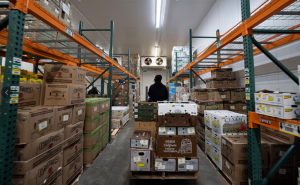 Lucas用 AI 推出“動態(tài)托盤”提升倉儲效率與安全性