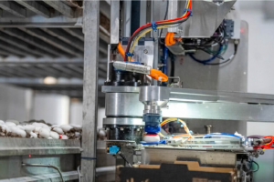 4AG Robotics獲4000萬加元B輪融資 加速蘑菇收割機器人商業(yè)化