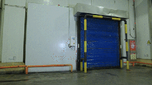 馭寒而行，高效鎖“鮮” | 林德叉車助力圣農集團打造綠色高效物流供應鏈體系