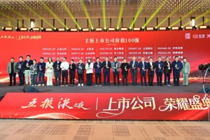 資本市場(chǎng)高度認(rèn)可！三一斬獲雙百強(qiáng)