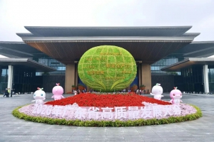 派寶機(jī)器人亮相2026年廣東省高質(zhì)量發(fā)展大會(huì)