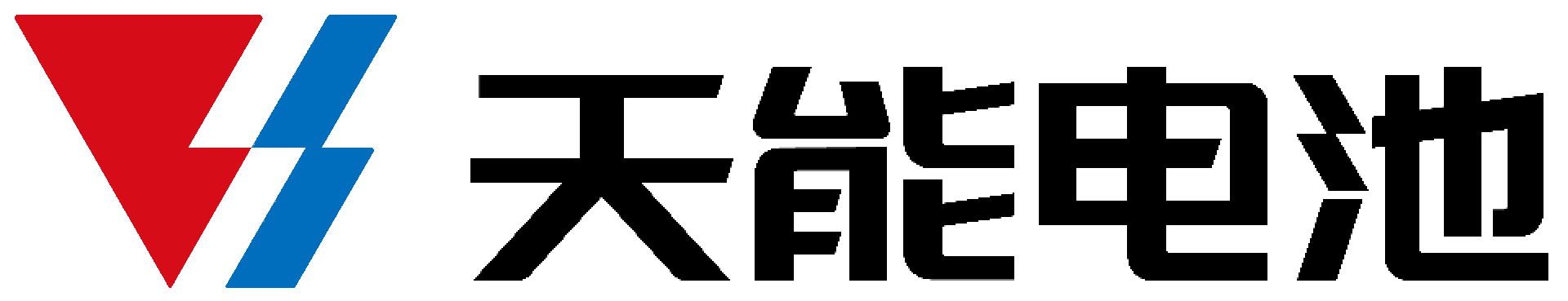 浙江省長興天能電源有限公司