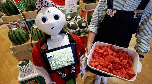 2020年十分之一美國(guó)家庭將擁有機(jī)器人