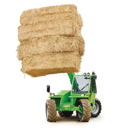 意大利默羅叉車(MERLO)3.6噸農(nóng)牧場(chǎng)專用伸縮臂叉車 P36_10