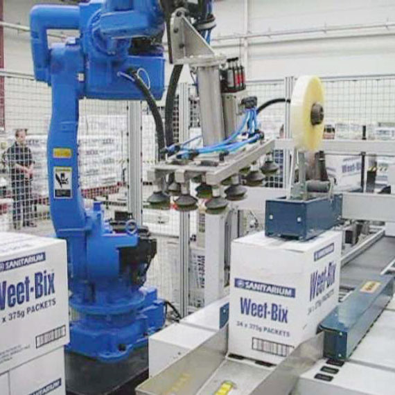 廣東力生搬運(yùn)碼垛機(jī)器人